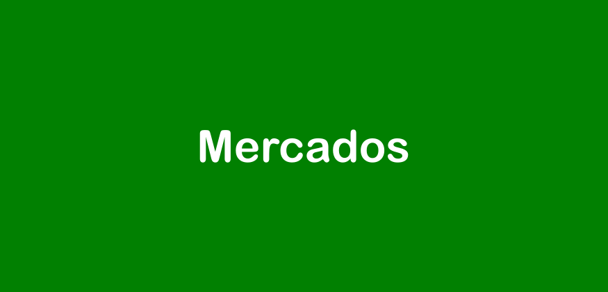 MERCADILLO DEL CHARCO DE LA PAVA- SEVILLA Imagen de portada