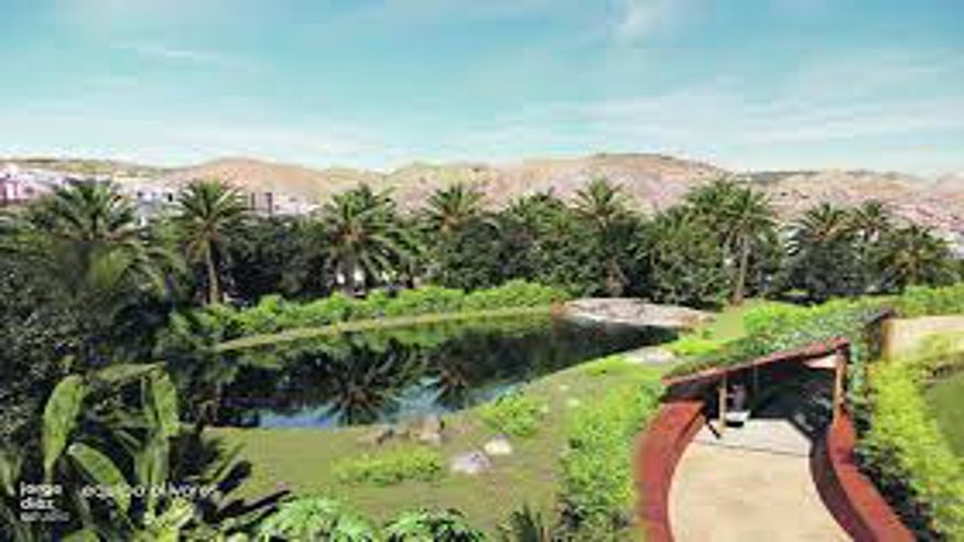 Palmetum de Santa Cruz de Tenerife - Jardín Botánico Imagen de portada