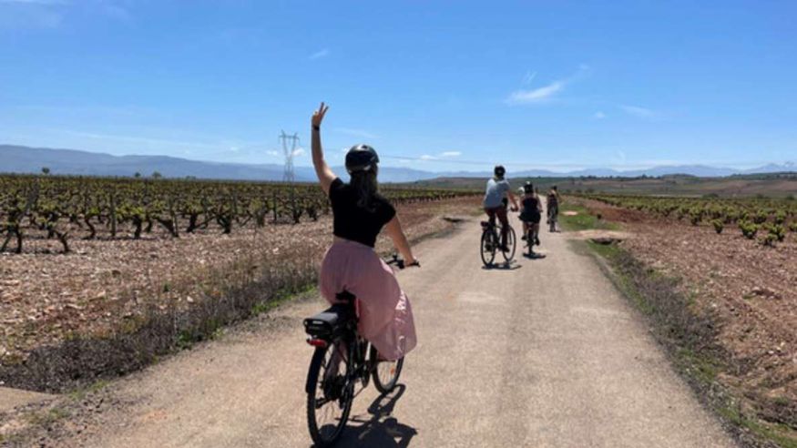 Desde Bilbao: Ruta del Vino de La Rioja en E-Bike con Catas de Vino Imagen de portada