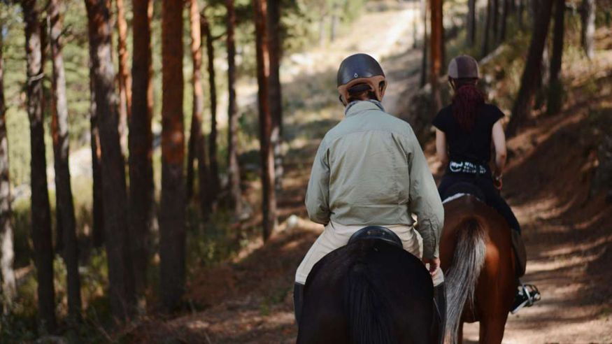 Madrid: Paseos a caballo por el Parque Nacional Sierra de Guadarrama Imagen de portada
