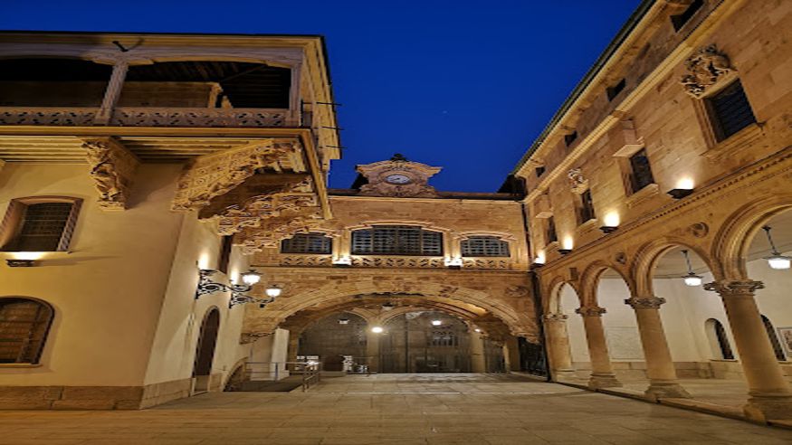 Palacio de la Salina o de Fonseca Imagen de portada