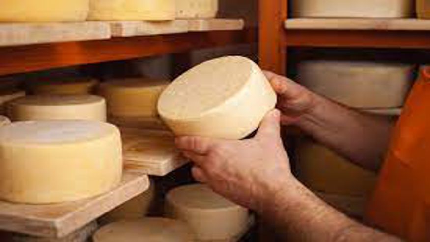 Tour de quesos y sidra por Asturias Imagen de portada