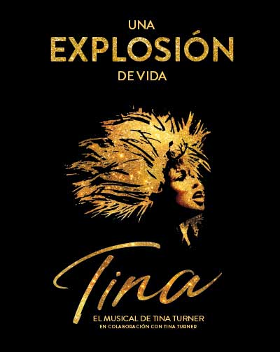 Tina, el musical de Tina Turner Imagen de portada