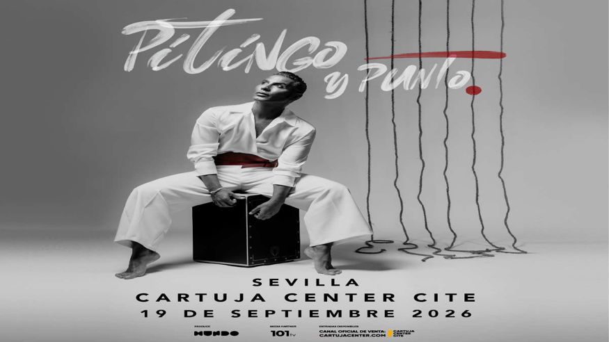 PITINGO Y PUNTO Imagen de portada