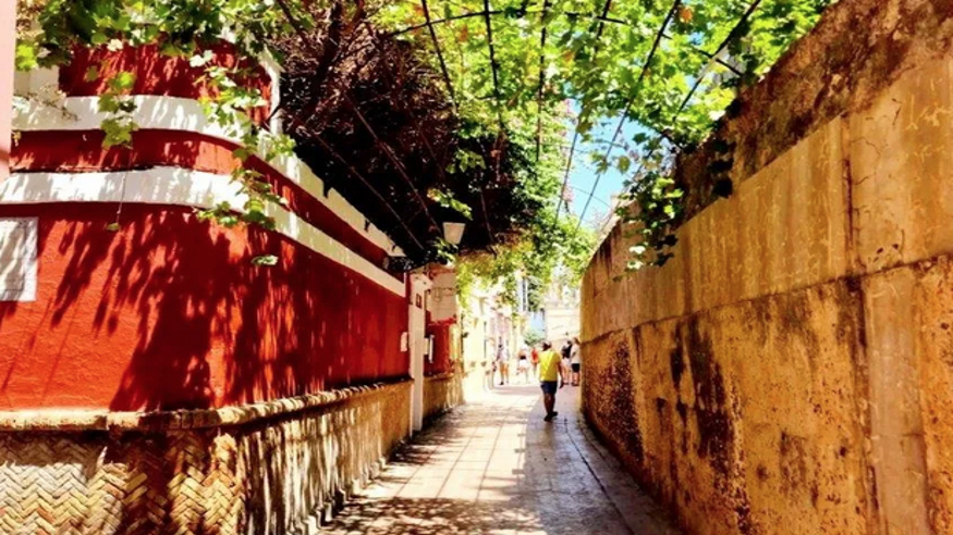 Visitas escolares en el Barrio de Santa Cruz de Sevilla Imagen de portada