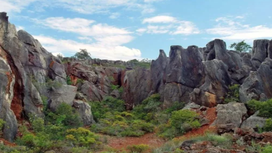 Visitas escolares en el Cerro del Hierro Imagen de portada