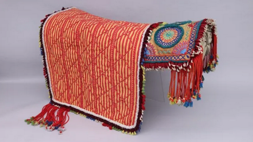 Exposición 'El último Bosque'  Imagen de portada