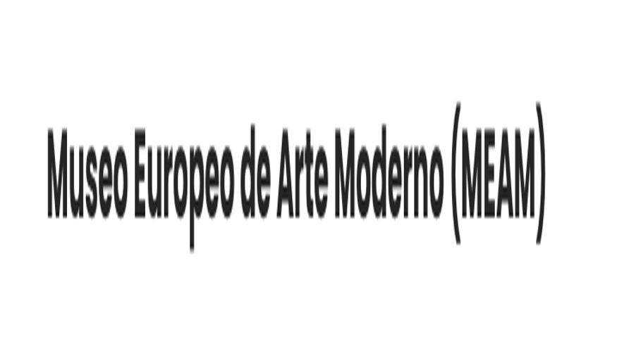 Museo Europeo de Arte Moderno (BARCELONA) Imagen de portada