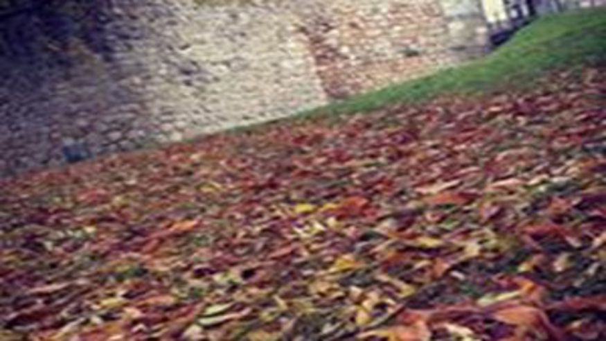 Castillo de Burgos Imagen de portada