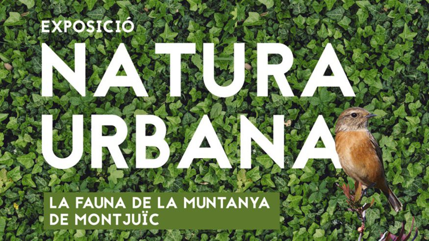Exposición "Aula de Natura Urbana. La fauna de la montaña de Montjuïc" en BARCELONA Imagen de portada