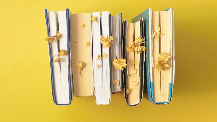 Premios Literarios Kutxa Fundazioa 2026: Novela y Poesía Imagen de portada