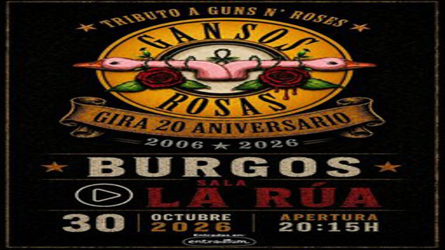 GANSOS ROSAS EN BURGOS Imagen de portada