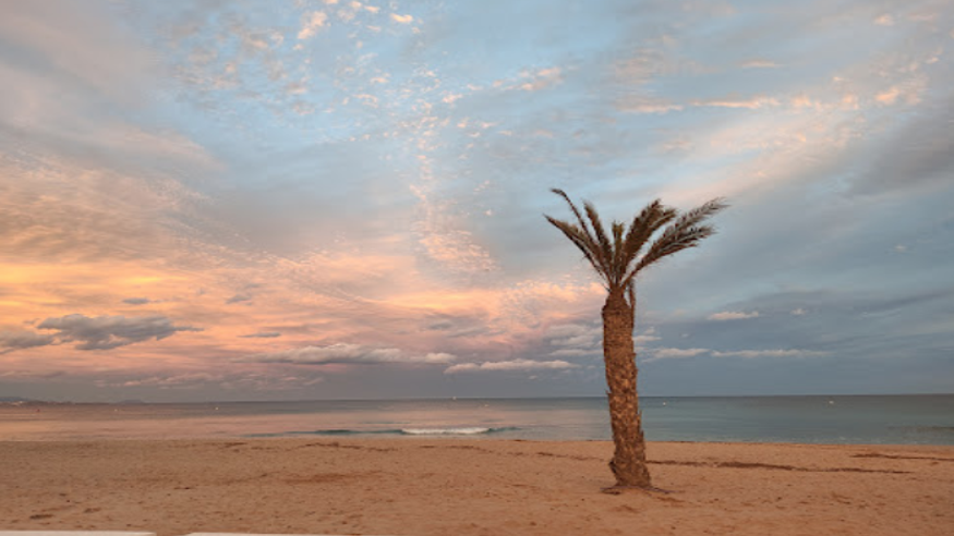 Playa de los Saladares Imagen de portada