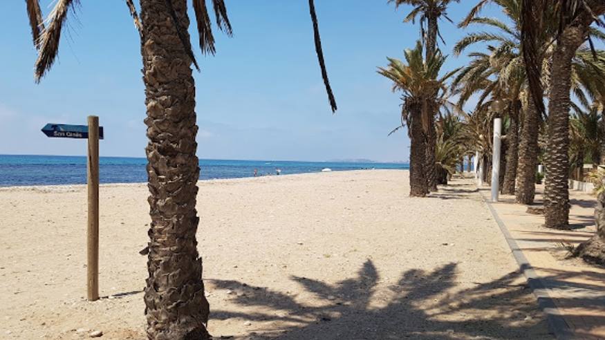 Playa de San Ginés Imagen de portada