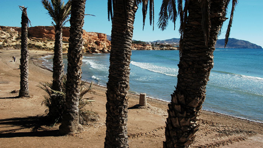 Playa Negra Imagen de portada