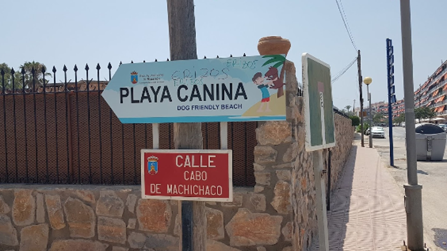 Playa Canina Imagen de portada