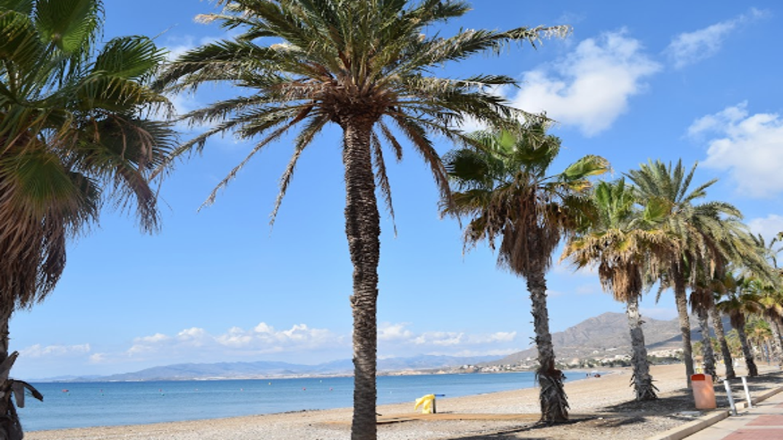Playa del Castellar Imagen de portada