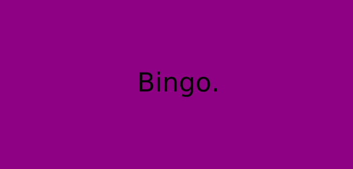 Bingo Borrell Imagen de portada