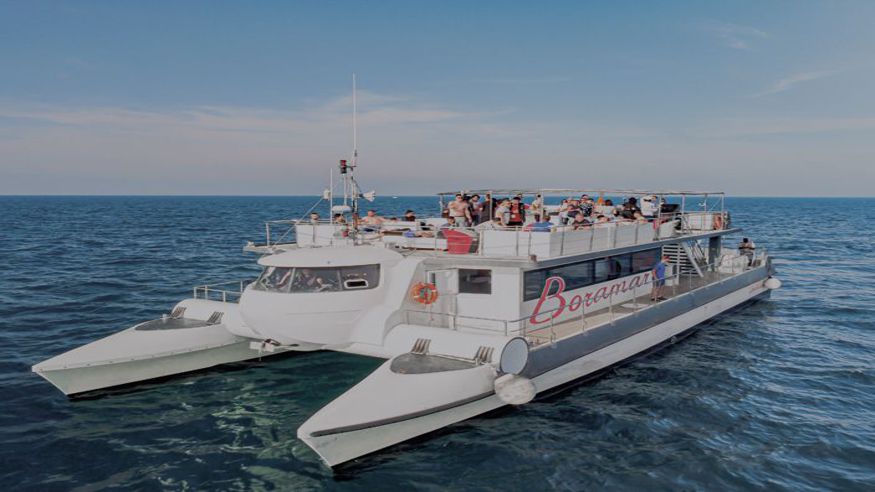 Paseo en catamarán por Valencia con comida Imagen de portada