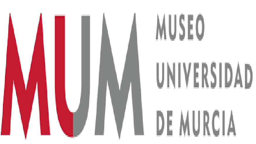 Cultura / Arte - Museos y monumentos - Pintura, escultura, arte y exposiciones -  Museo de la Universidad de Murcia - CARTAGENA