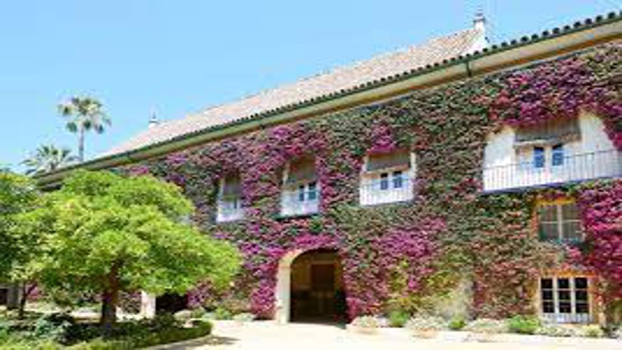 Cultura / Arte - Museos y monumentos - Ruta cultural -  Ruta al Palacio DE LAS DUEÑAS DE SEVILLA - SEVILLA