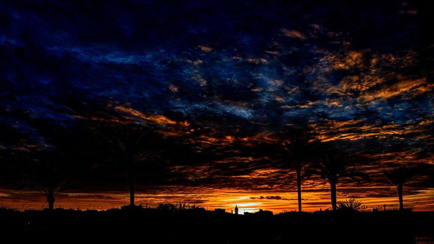 Cultura / Arte - Museos y monumentos - Ruta cultural -  Free tour de los misterios y leyendas de Sevilla - SEVILLA