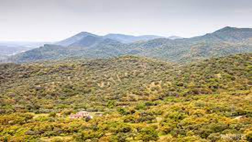 Senderismo - Deportes aire libre - Ruta cultural -  Excursión a la Sierra de Aracena - SEVILLA
