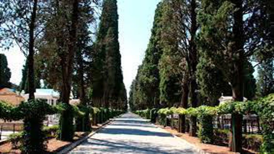 Cultura / Arte - Museos y monumentos - Ruta cultural -  Tour teatralizado nocturno por el cementerio de Sevilla - SEVILLA