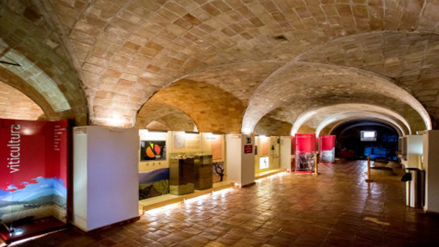 Catas - Museos y monumentos -  Museo del vino - BULLAS