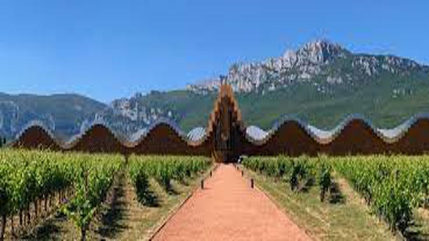 Catas - Ruta cultural -  Excursión a Vitoria y la Rioja Alavesa - BILBAO