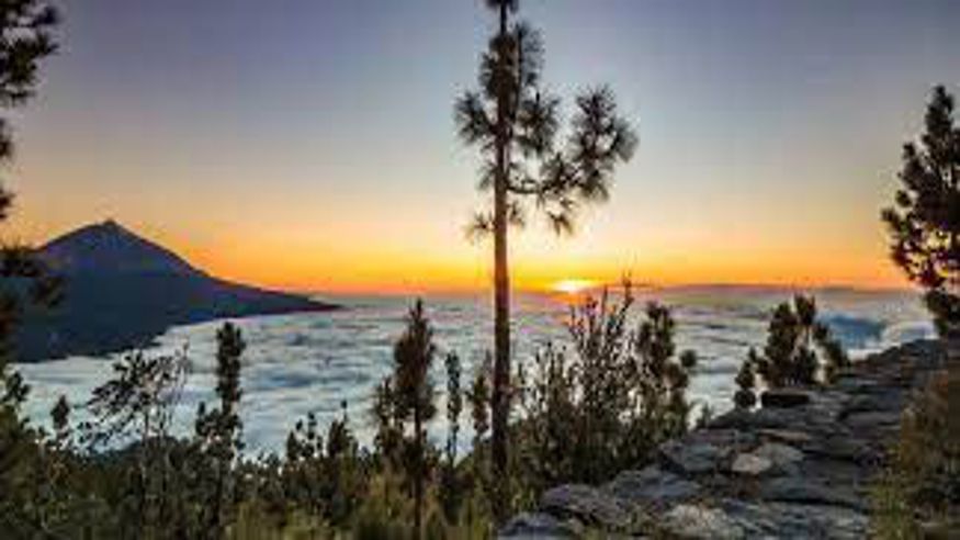 Senderismo - Cultura / Arte - Ruta cultural -  MIRADOR DE CHIPEQUE Y CHIMAGUE (TENERIFE) - SANTA URSULA