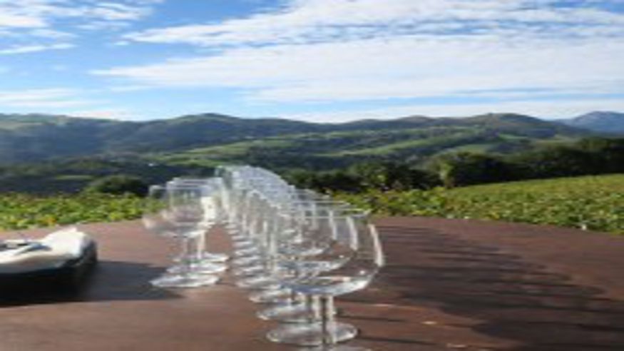 Catas - Ruta cultural -  Zumaia: Ruta del Vino y Acantilados Vascos Privada - BILBAO