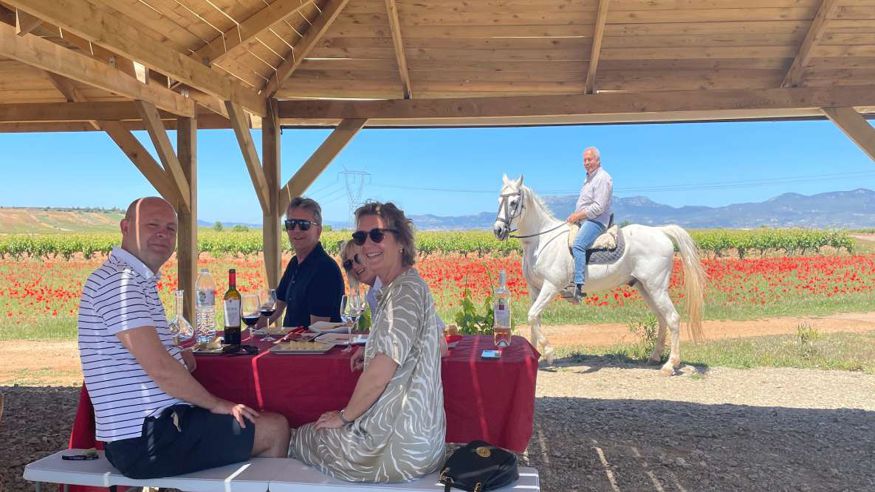 Catas - Ruta cultural -  Ruta del Vino de La Rioja y Picnic Mágico (Desde Bilbao) - BILBAO