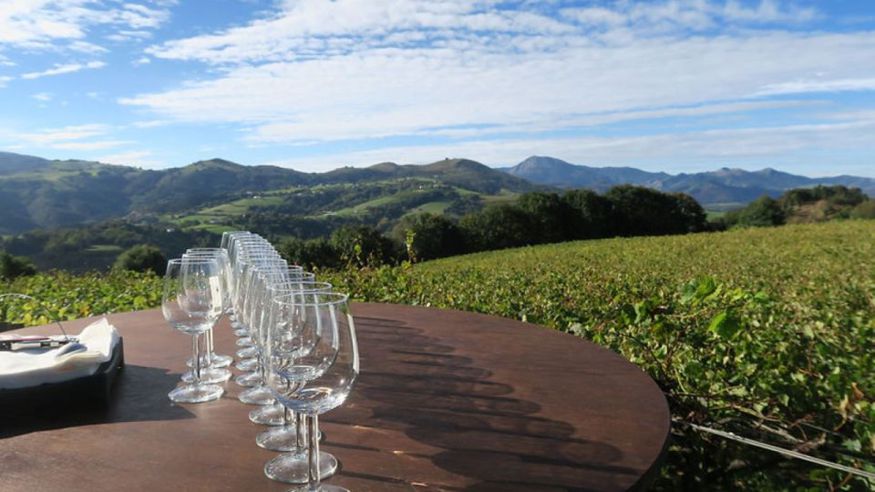 Catas - Ruta cultural -  Bilbao: Excursión de un día a San Juan de Gaztelugatxe y el Vino Txakoli - BILBAO