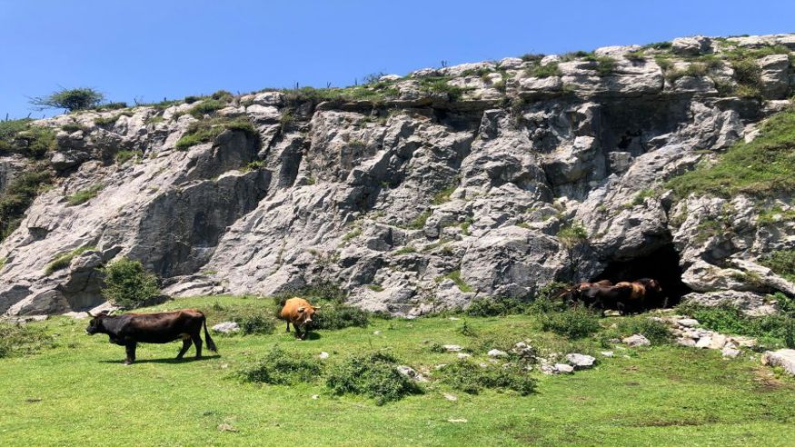 Catas - Senderismo - Restauración / Gastronomía -  Extravagancia senderista en Bilbao - De picos a pintxos - BILBAO