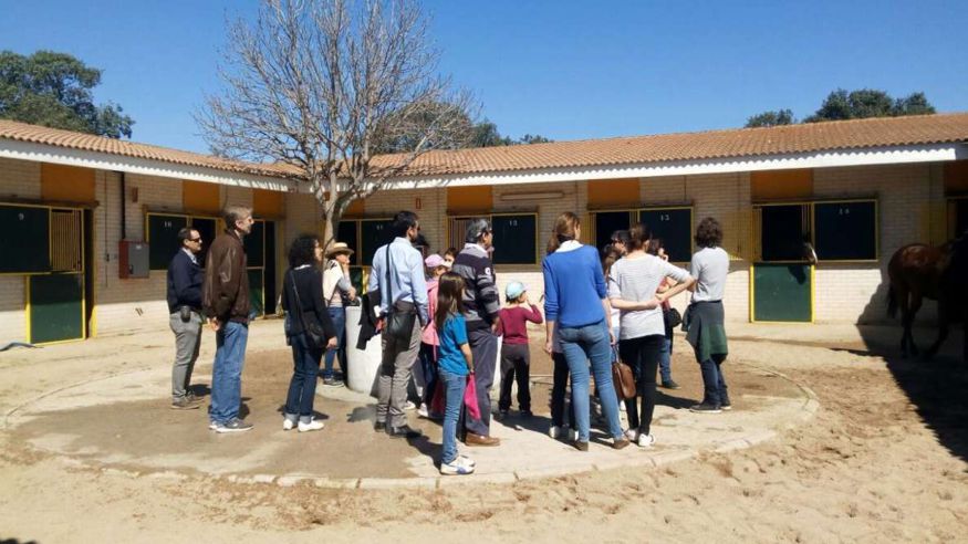 Otros ferias y fiestas - Carreras hípica - Aficiones -  Madrid: Visita guiada al Hipódromo de la Zarzuela - MADRID