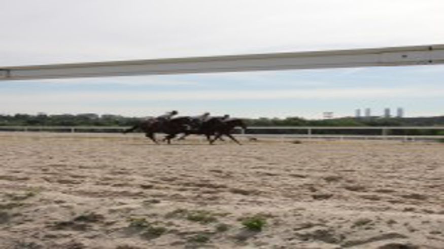 Otros ferias y fiestas - Carreras hípica - Aficiones -  Madrid: Visita guiada al Hipódromo de la Zarzuela - MADRID