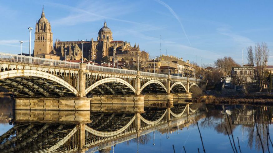 Cultura / Arte - Museos y monumentos - Ruta cultural -  Desde Madrid: excursión de un día a Ávila y Salamanca con tour guiado - MADRID