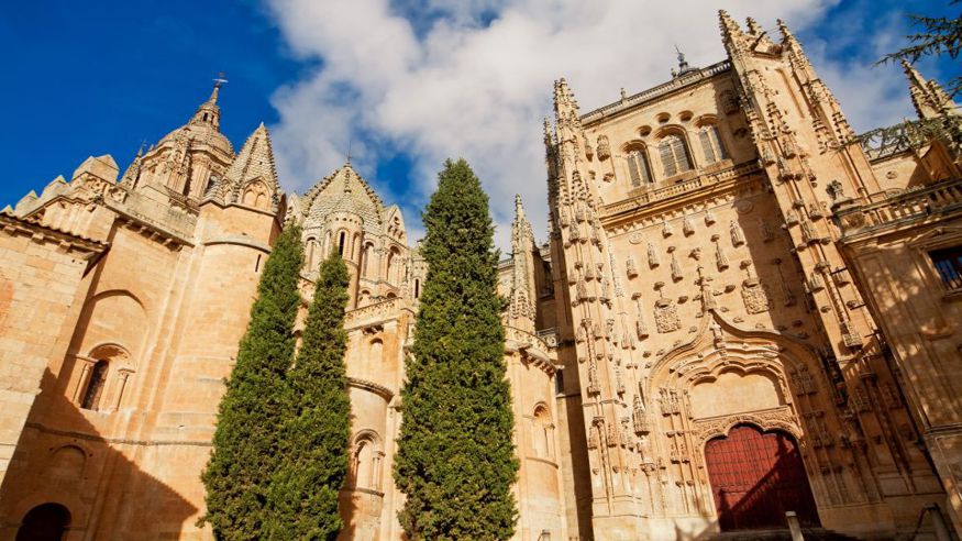 Cultura / Arte - Museos y monumentos - Ruta cultural -  Desde Madrid: excursión de un día a Ávila y Salamanca con tour guiado - MADRID