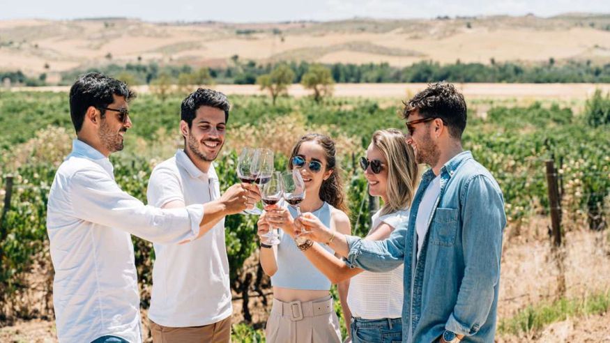 Catas - Museos y monumentos - Ruta cultural -  Desde Madrid: Visita a la ciudad de Toledo y cata de vinos - MADRID