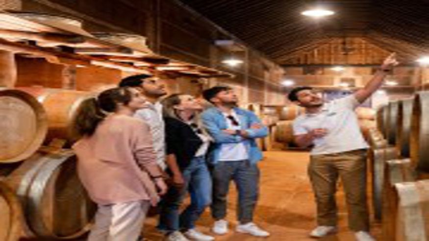 Catas - Museos y monumentos - Ruta cultural -  Desde Madrid: Visita a la ciudad de Toledo y cata de vinos - MADRID