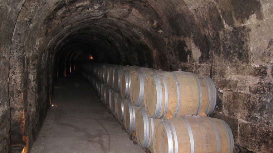 Catas - Museos y monumentos - Ruta cultural -  Desde Madrid: tour de 3 bodegas en la Ribera del Duero - MADRID