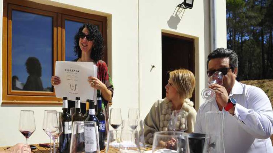 Catas - Aficiones -  Desde Madrid: tour de 3 bodegas en la Ribera del Duero - MADRID