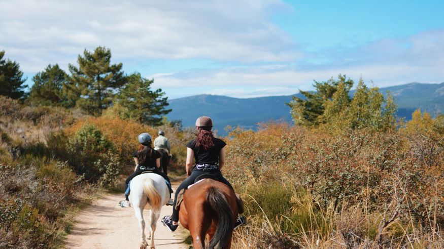 Parques - Hípica - Ruta cultural -  Madrid: Paseos a caballo por el Parque Nacional Sierra de Guadarrama - MADRID