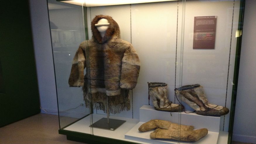 Cultura / Arte - Museos y monumentos - Otras aficiones con animales -  Museo Nacional de Antropología - MADRID