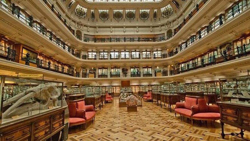 Cultura / Arte - Museos y monumentos - Otras aficiones con animales -  Museo Geominero - MADRID