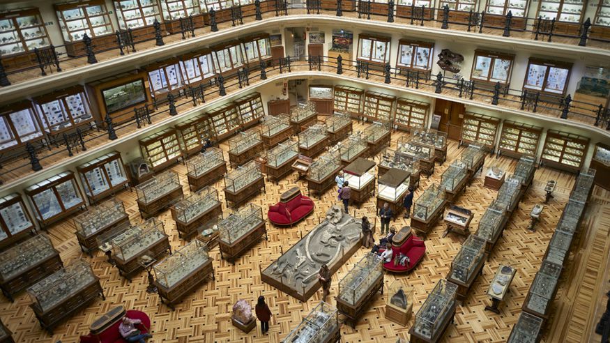 Cultura / Arte - Museos y monumentos - Otras aficiones con animales -  Museo Geominero - MADRID