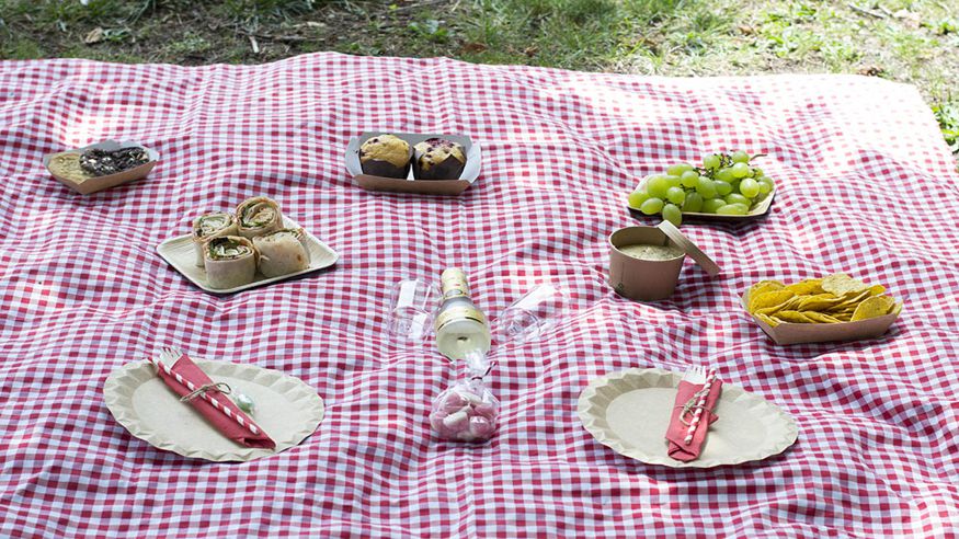 Parques - Otros gastronomía -  Picnic Madrid - MADRID