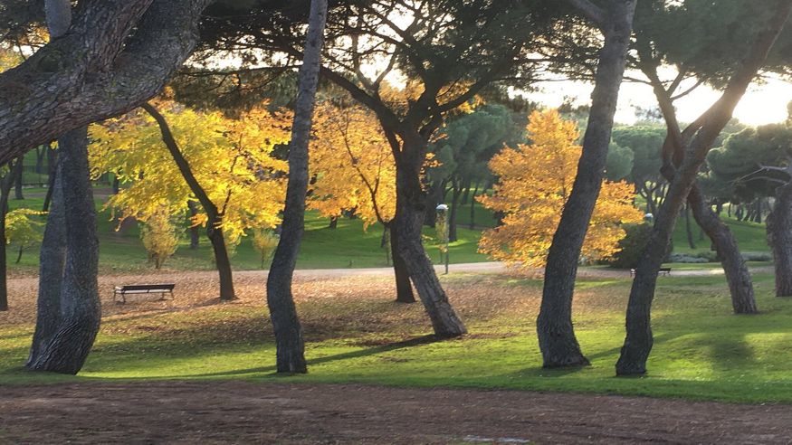 Parques - Ruta cultural -  Dehesa de la Villa - MADRID