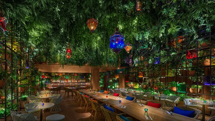 Otros gastronomía - Aficiones - Ruta cultural -  Oroya - MADRID